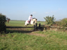 Wickstead Jump12
